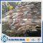 razor barbed wire fence factory low price good quality
