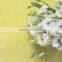 Good smell promotional lisianthus seeds eustoma grandiflorum