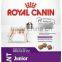 Royal Canin Mini Junior Dry Dog Food