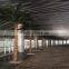 Office Building Landscaping Artificial Palm Tree