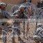 Barb Wire and Razor Wire