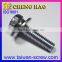 Professional sems screw with lock washer