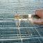 Hot dipped galvanized welded wire mesh panel