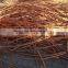 wholesale 99.99% copper wire scrap millberry for sale