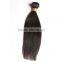Grade 6a Malaysian Virgin Hair Straight,Malaysian Straight Human Hair Extension Unprocessed Malaysian Hair