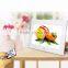 China factory 7 inch LCD mnoitor IPS screen Digital Photo Frame with remote control 7 inch media player pokemon advertising