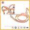 Wholesale LED pet leashes, popular cat leash, pet led lead