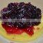 Fruit Fillings/Blueberry Pie Filling or Topping