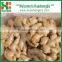 2016 New Crop Chinese fresh good quality ginger from professional factory