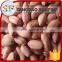 Price of raw peanut seed kernel
