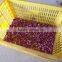 FX-128-2 Hot Sale Large Capacity Garlic Peeling Peeler Machine