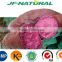 Purple Sweet Potato Extract powder 8% manufacture ISO, GMP, HACCP, KOSHER, HALAL certificated