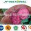 natural Purple Sweet Potato Extract manufacture ISO, GMP, HACCP, KOSHER, HALAL certificated