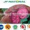 pure natural Purple Sweet Potato Extract manufacture ISO, GMP, HACCP, KOSHER, HALAL certificated