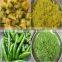 High quality low price vegetable stuffing machine