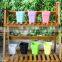 garden nursery flowers pots