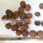 expanded clay pebbles for hydroponics