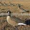 2017 New fashion high quality Hot selling plastic duck hunting decoy, mallard duck decoys