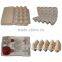 recycle paper pulp Wine Tray