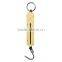 Hanging clasp scale/fishing scale/Handle scale