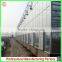 Hot sale multi-span glass 7.2m agriculture greenhouses for garden