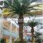 SJ12001106 date palm tree canary/canary jujube tree fake/fake palm tree in dubai