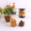 transparent borosilicate glass storage jar