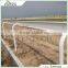 Hot Popuar Durable Equestrianism Galvanized Pipe Horse Fence Panels