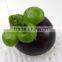 artificial plastic mangosteen for decoration fake fruit