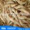 HL002 sea catch shrimp for sale