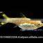 Rasbora Fish For Sale and Export