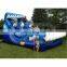 Dolphin Jumping Cartoon Inflatable Water Above Ground Bouncer Crazy Slide for Kids on Sale
