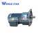 AC Electric Motor