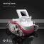 Portable Weight Loss Crio Lipolisis Beauty Slimming Machine