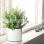 Custom white big large size nordic modern outdoor succulent  Planter Flower ceramic Pot with Saucer for Sale
