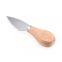 4 piece Cheese Knife Set with Wooden Handle Kitchen Cheese Tools Dessert Pizza Slicer cheese cutter