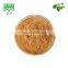 Natural Cosmetics Supplement 10:1 20:1 Gotu Kola Extract Powder