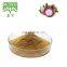 mangostin 10%, 20%, 40%,90% 100% Mangosteen extract