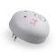 Factory Supply Home Plug In Ultrasonic Rat Mouse Repeller