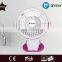 Beautiful mini gift fan - USB/battery fan with clamp