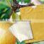 Fruit growing wrapping paper bags