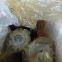 Original Hydraulic Main Pump A4VG71 A4VG90 A4VG125DA2D2/32R-NAF02F021DT Hydraulic Axial Piston Pump