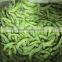 frozen fresh soybean
