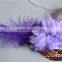 Ostrich Feather Mask For Party Mask
