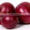 Red, yellow and white onion