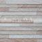 2015 New 300*600mm Digital Injkjet Stripes Stone Series wall tile