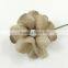 Soft Brown, Taupe Small Handmade Mulberry Paper Flower, Wedding Party, Scrap-booking Crafts, Wholesale