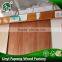 Natural rotary cut style beech okoume Ebony veneer sheets