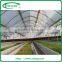 NFT Hydroponics Cultivation System for Lettuce