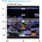 fish tank accessories 2016 EVERGROW New model IT5080 6 channels intelligent coral reef 32 inch led aquarium light